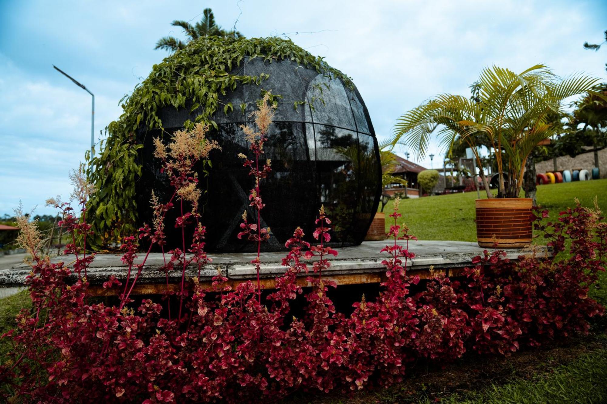 Hotel Yerbabuena